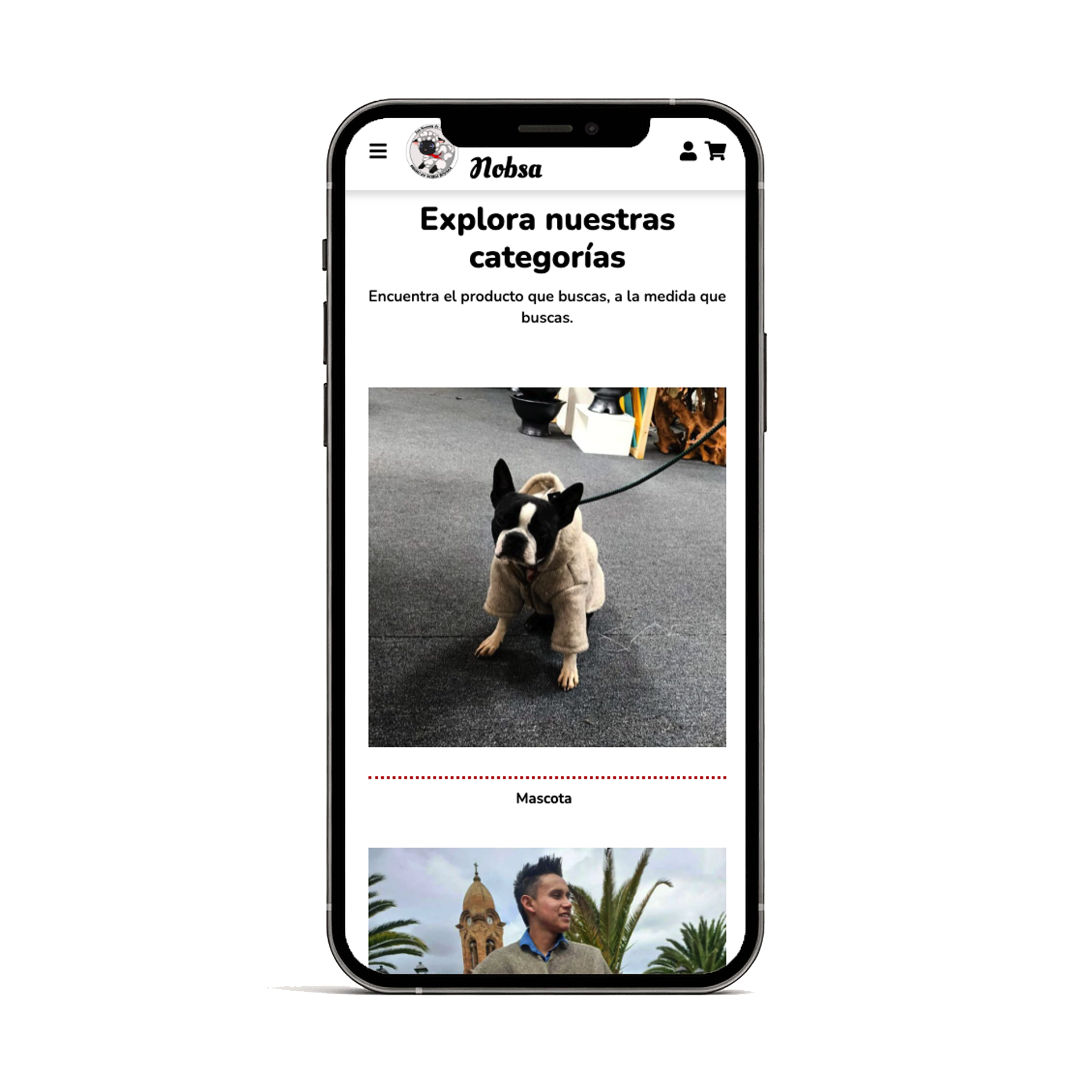 rdn mockup phone